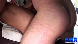 Breedmeraw Hairy Brad Kalvo Bareback Raw Pounding Inked Gay Hard