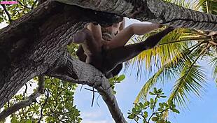 my lover fucks my ass on a tall tree, his big black cock stretching me