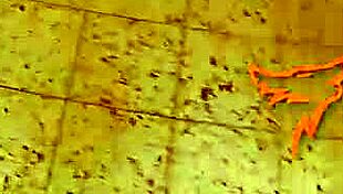 milf pov blowjob in public with huge cumshot