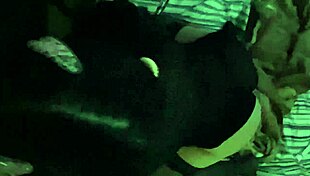 Ava Love's Secret Blowjob Performance