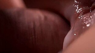 doggy style penetration on a macro lens in great detail?