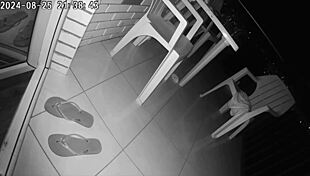 I fucked my friend's wife in the ass outdoors and came in her mouth