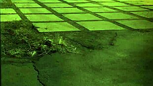 Gangbang compilation for first-timers, unless you're from the sixties! 😏