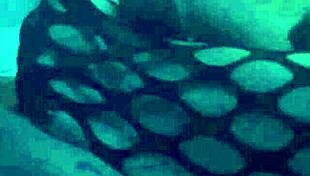 want a sexy footjob in nylons!