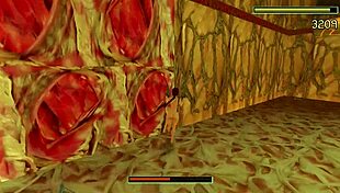 Random bloopers from Tomb Raider game.