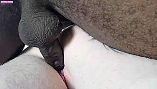 while my husband is away, his friend visits and we fuck in lingerie.