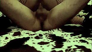 I bought a young lover