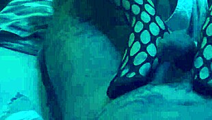 want a sexy footjob in nylons!