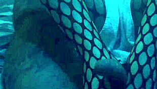 want a sexy footjob in nylons!