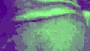 hot wife prueba vergon y gime rico