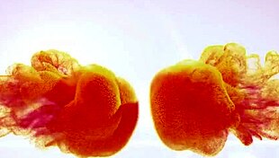 Wet And Pissy Toy Play!