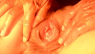 playing with pussy and fingering ass 😈