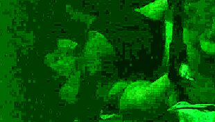 Homemade Video Of Me And My Girlfriend