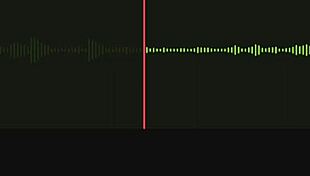 Incredible Audio of Neighbor Part 1
