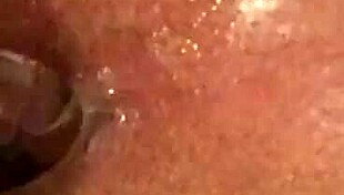 Have you tried butt plug anal fun?