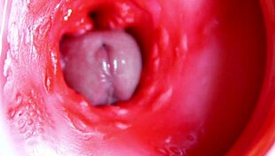 Big Red Cock Pounds Juicy Hole for Instant Cum