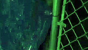 Imagine binding a skinny teen's juicy pussy for rough public outdoor play with Anya Olsen