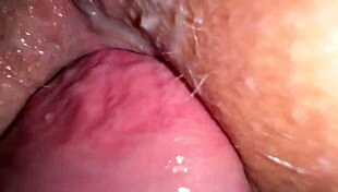 Homemade Sex Ends with Cum