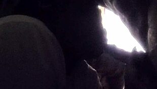 Diamond In The Rough Slut Swallows Cum In Homemade Blowjob With Black Neighbor