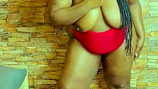 sundaydogood614 shares update 869 on march 22 2025