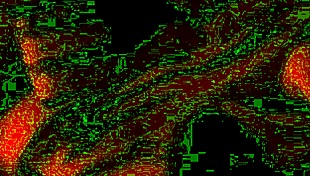 Real Bride's Homemade Wedding Fuck!