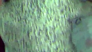 I'm A Hot Wife Acting Like A Slut