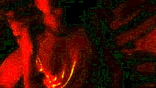 Real Bride's Homemade Wedding Fuck!