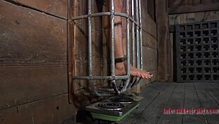 sweetie rides her sex-toy like a pro