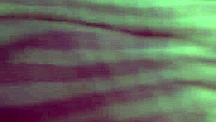 naughty wife with big ass