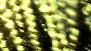 wet mouth on fat ass, riding big cock?