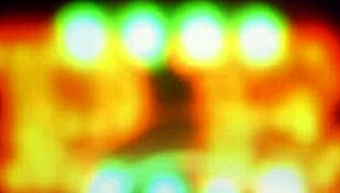 Celebrating the Triumph of Birth in Reality