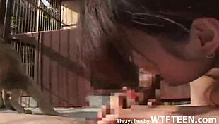 Outdoor sex with Asian hottie in doggy style for free