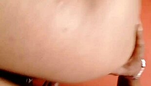 Sundaydogood614 update 299 video from July 08 2024