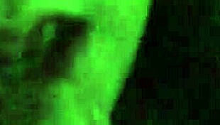 Latina Amateur Blowjob On Cock In Intriguing Encounter