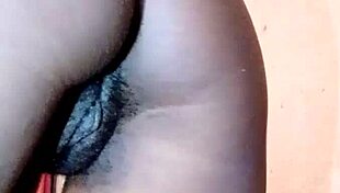 Look at that small tits getting fucked by big dick!