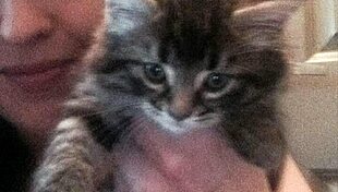 Kandy kane deepthroats with big tits