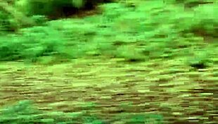 Quick fuck in public outdoor pussy