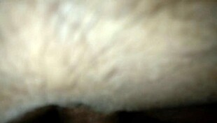 Geek girl fucks in doggy