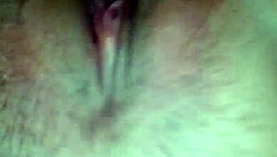 The girl has a great fun sucking her boyfriend's cock