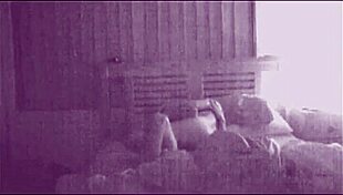 Amateur Couple Makes Love Loudly With Intense Kissing, Fucking, And Moaning To Orgasm