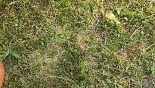 Almost caught fucking monster cock in park rough