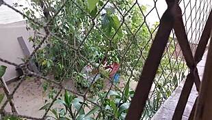 she discovers neighbor's bbc and loves anal creampie 😍