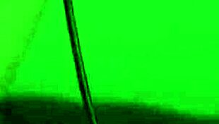 Solo Eurobabe teases her tight asshole with glamorous dildo play