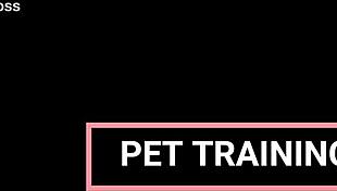 i endure punishment training with slaps and handcuffs