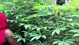 softkind bangs stepmom from behind in bush christmas surprise 😈