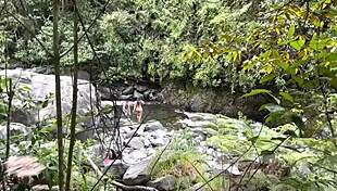 Passion on the riverbank, a daring Colombian delight