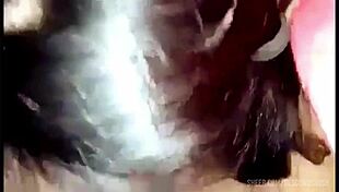 El Profe Enseña Clase con Lengua Sumisa