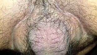 Wife's hairy pussy gets fucked.