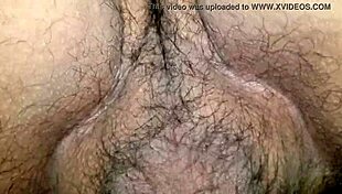 Wife's hairy pussy gets fucked.