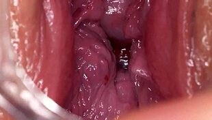 Time For Breeding Session